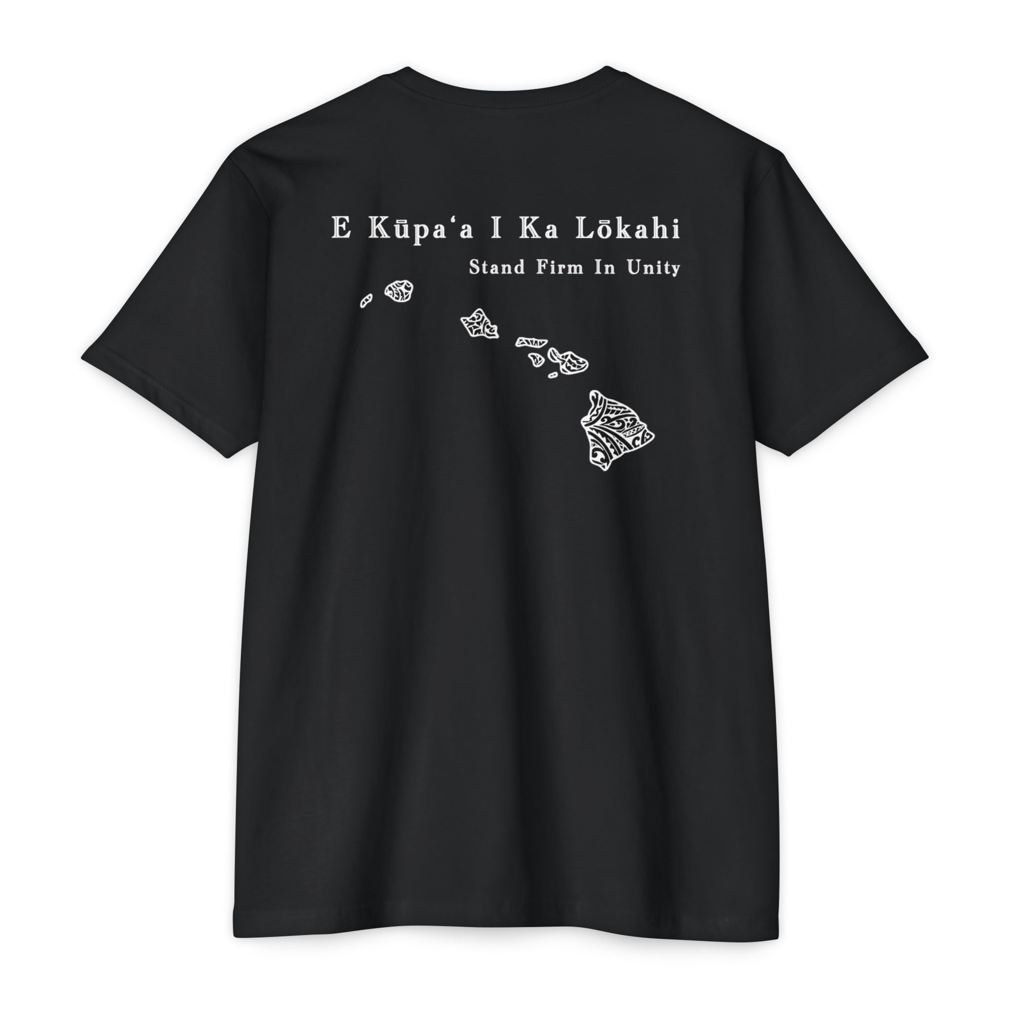 Solidarity Hawai'i- Everyday Tee