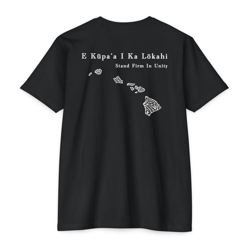 Solidarity Hawai'i- Everyday Tee