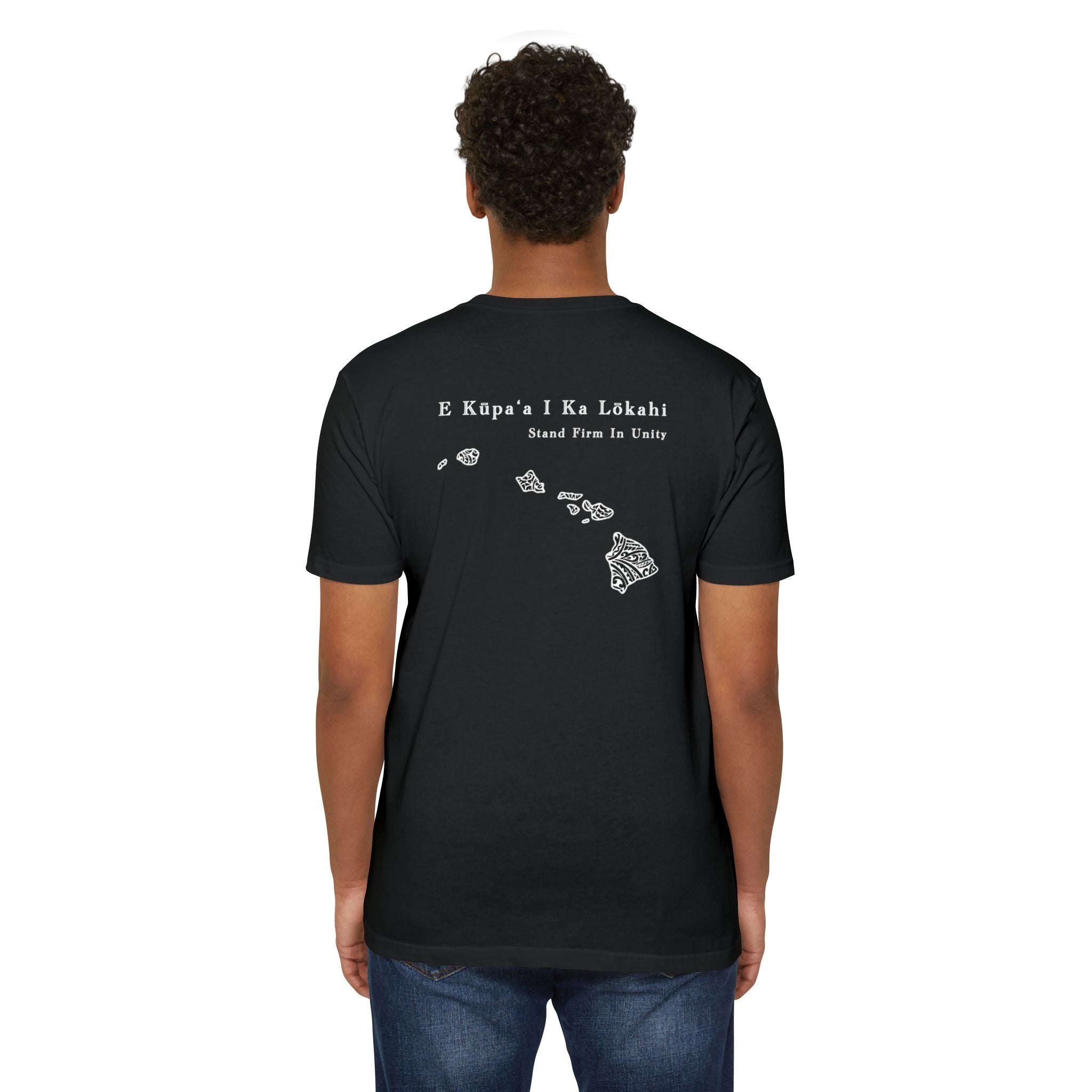 Hawaii Solidarity - Tribal Fist