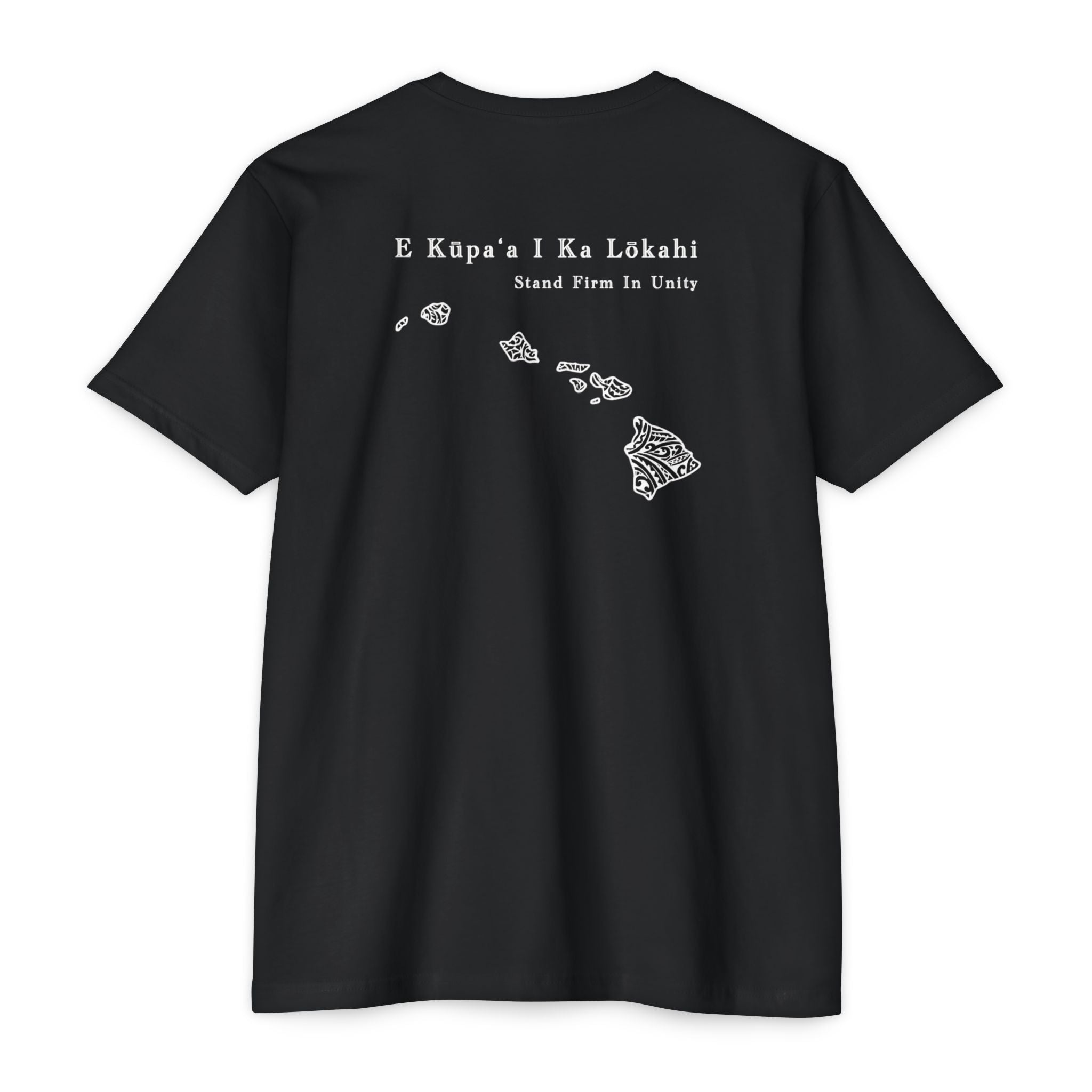 Hawaii Solidarity - Tribal Fist